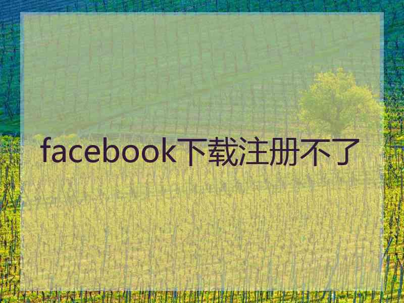 facebook下载注册不了