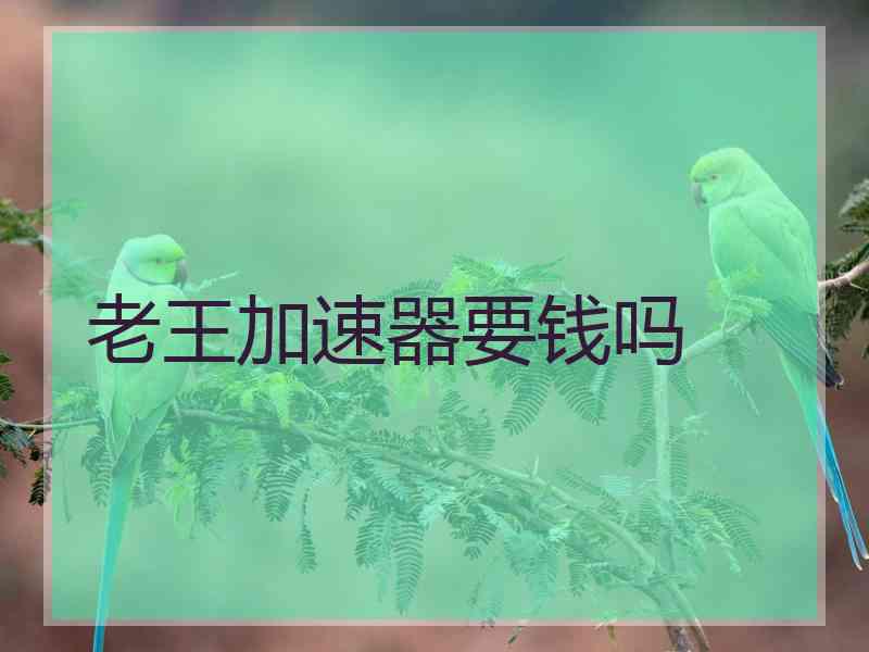 老王加速器要钱吗