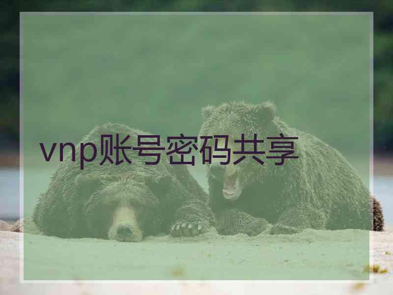 vnp账号密码共享