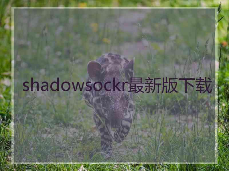 shadowsockr最新版下载