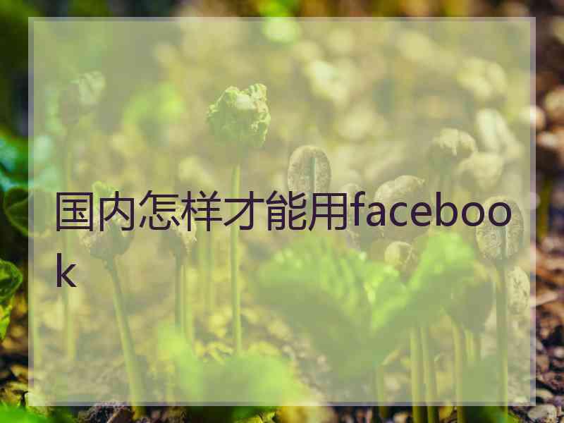 国内怎样才能用facebook