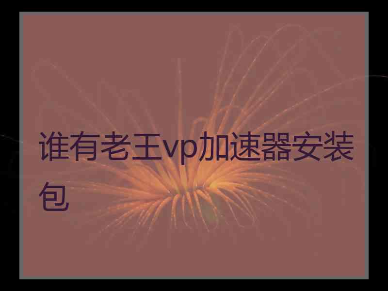 谁有老王vp加速器安装包