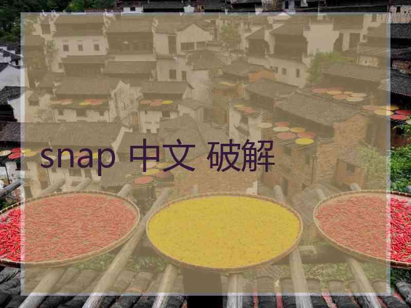 snap 中文 破解