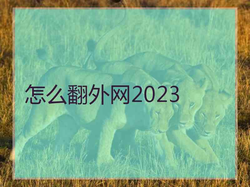 怎么翻外网2023