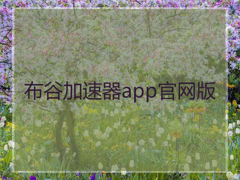 布谷加速器app官网版