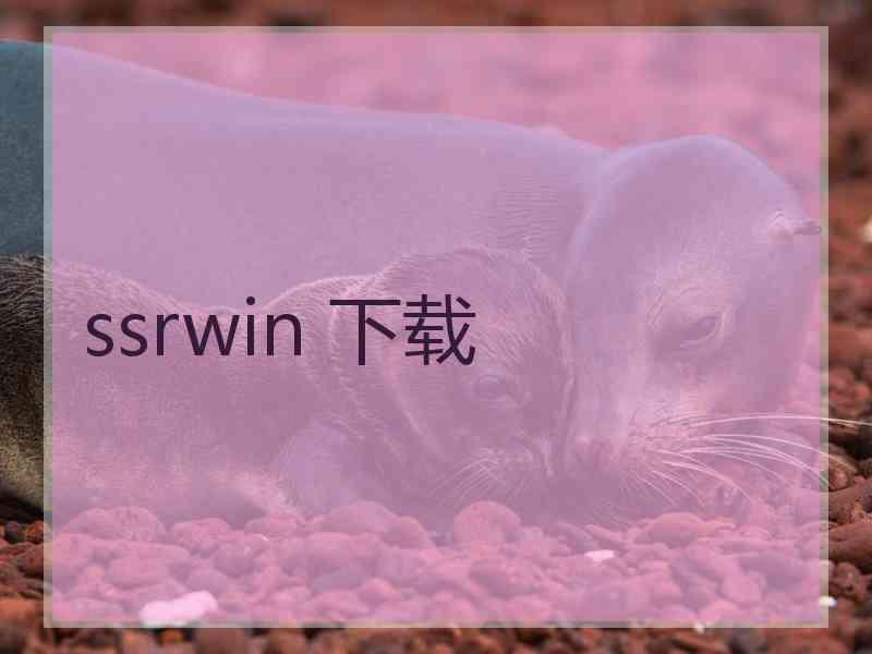 ssrwin 下载