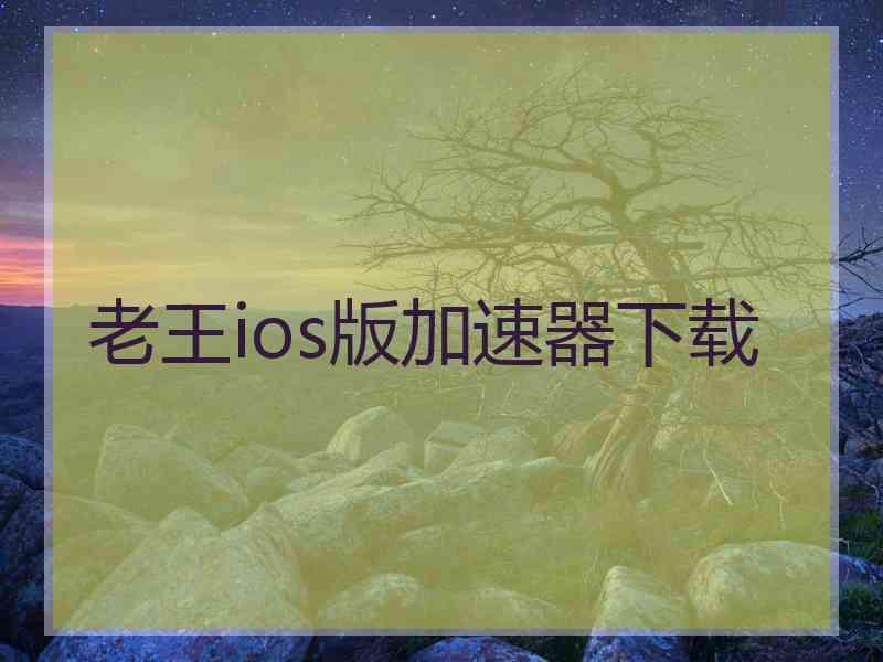 老王ios版加速器下载