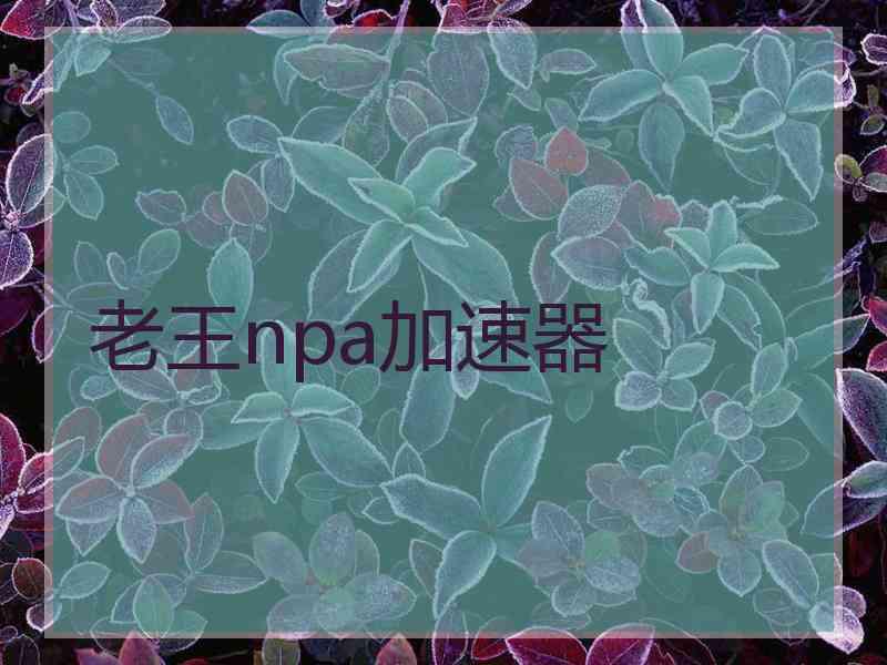 老王npa加速器