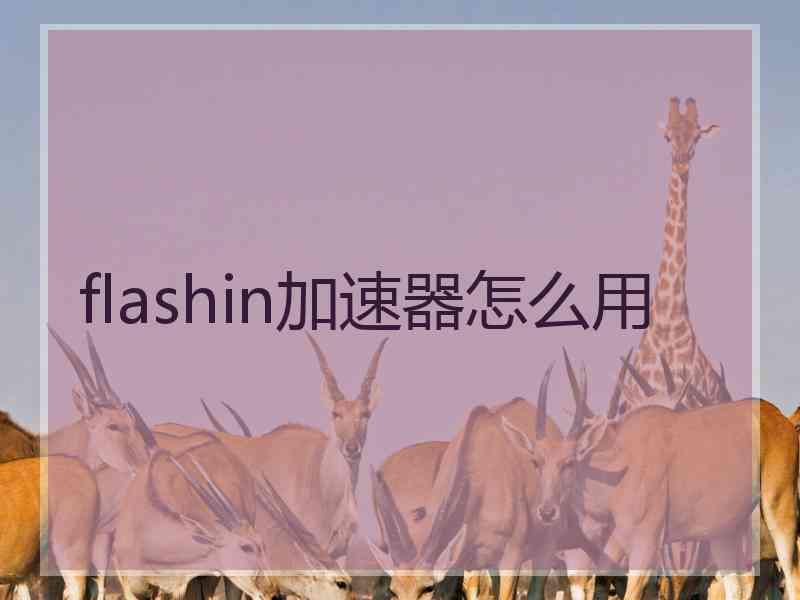 flashin加速器怎么用