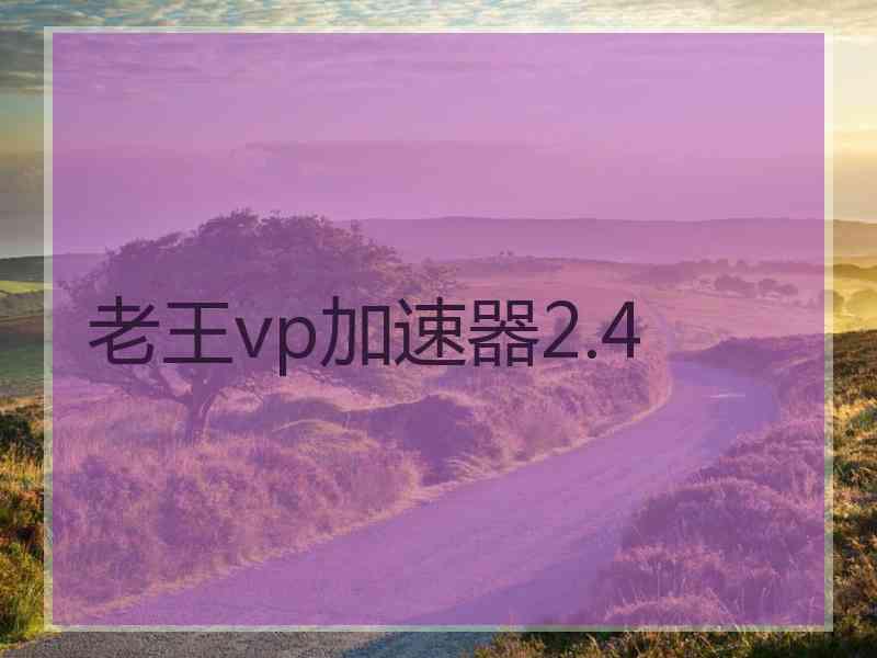 老王vp加速器2.4