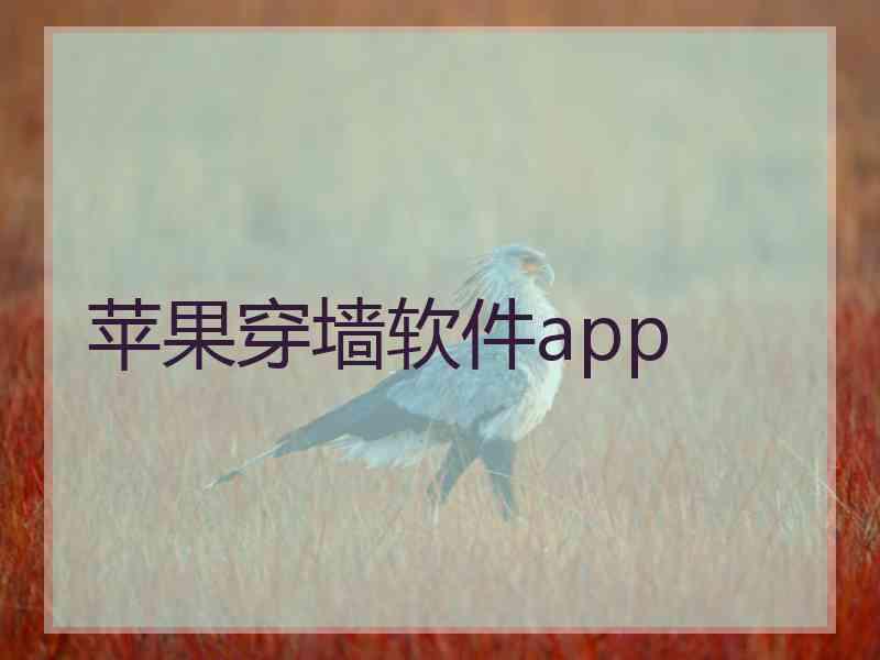 苹果穿墙软件app