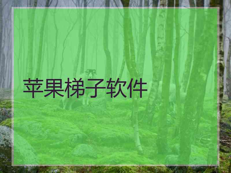 苹果梯子软件