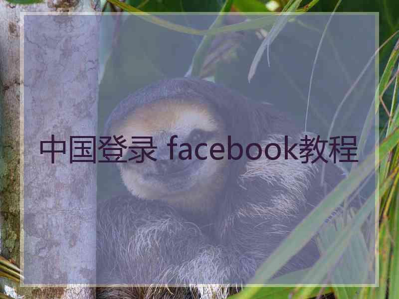 中国登录 facebook教程