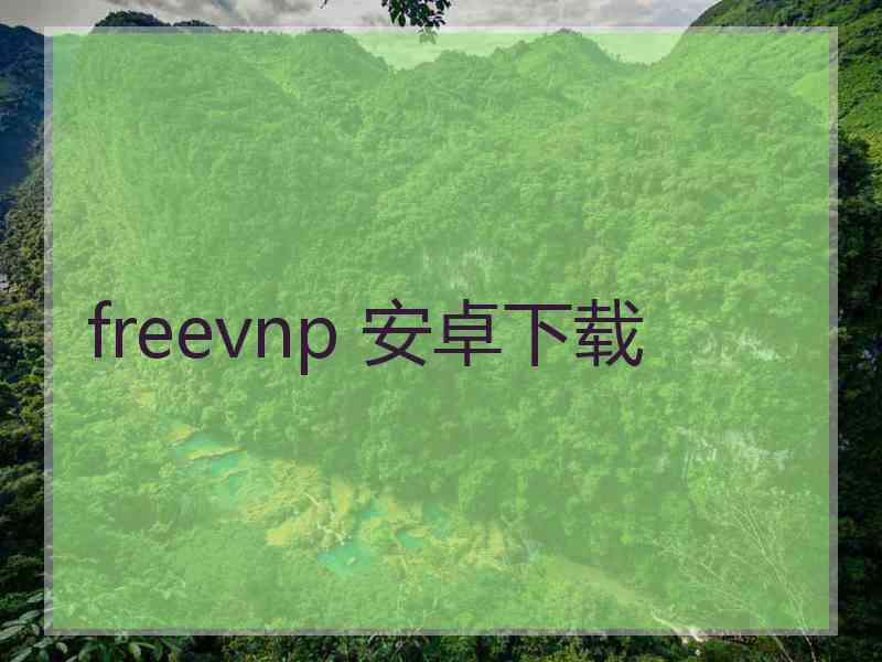 freevnp 安卓下载