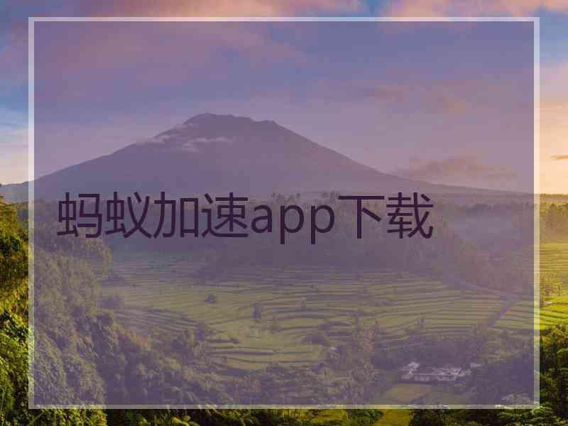 蚂蚁加速app下载