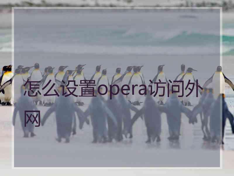 怎么设置opera访问外网