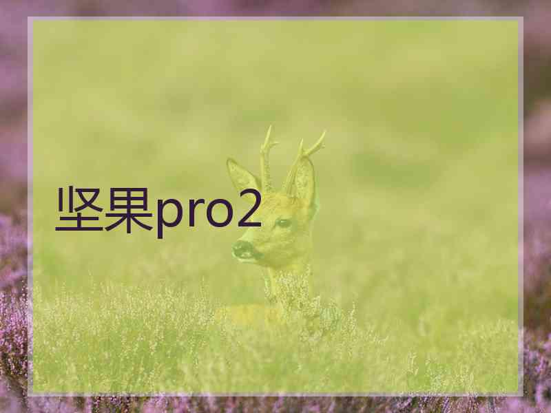 坚果pro2