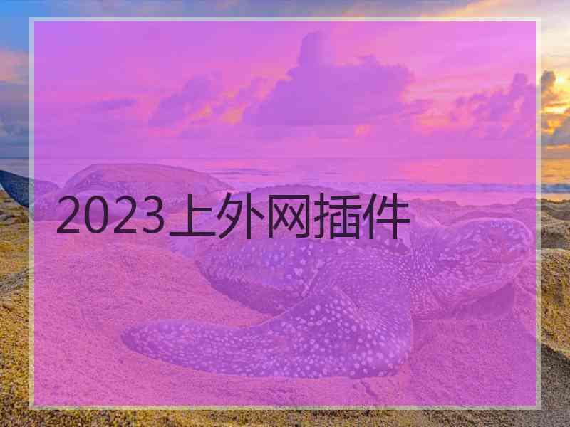 2023上外网插件