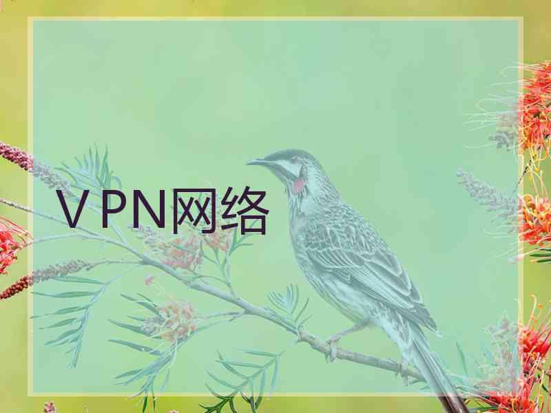 ⅤPN网络