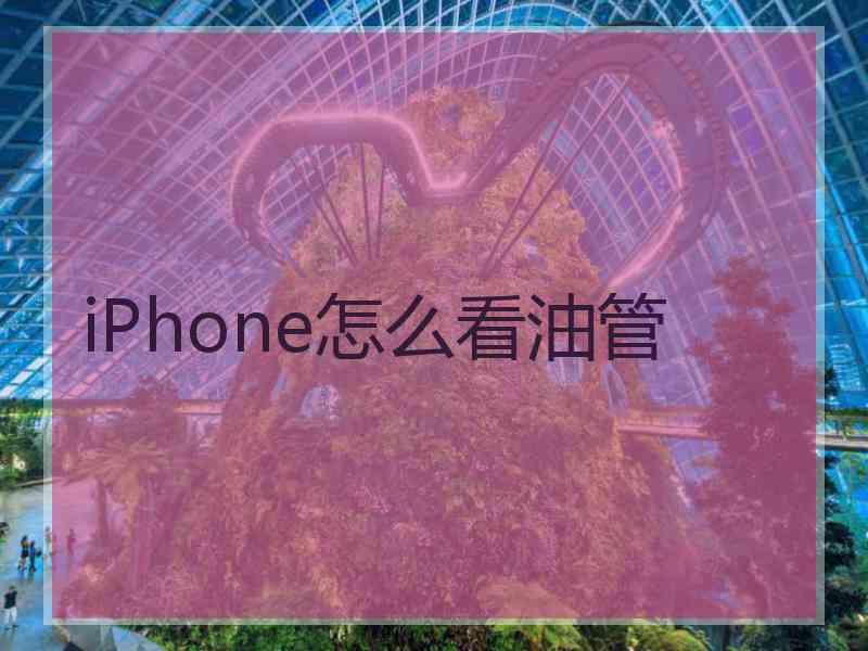 iPhone怎么看油管