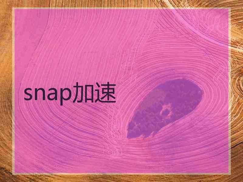 snap加速