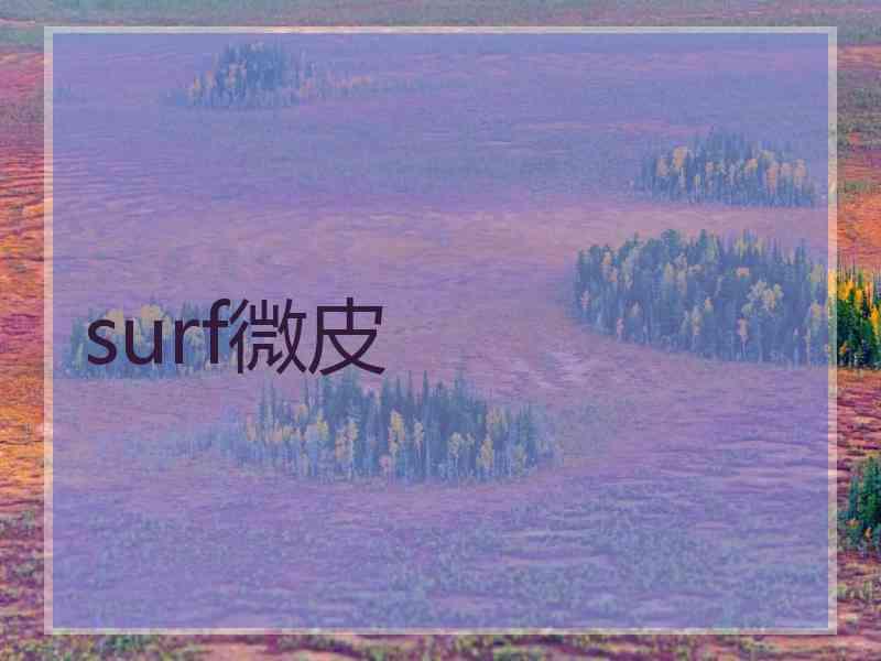 surf微皮