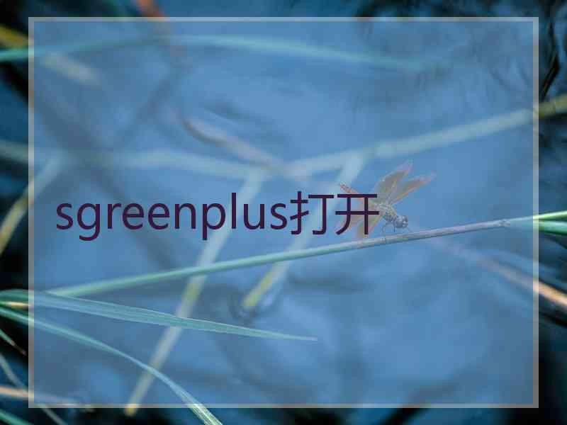 sgreenplus打开