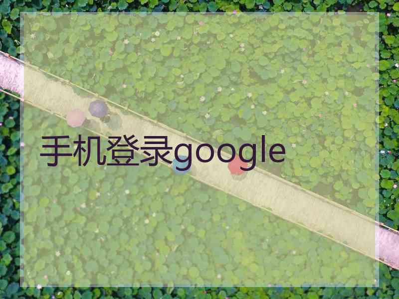 手机登录google