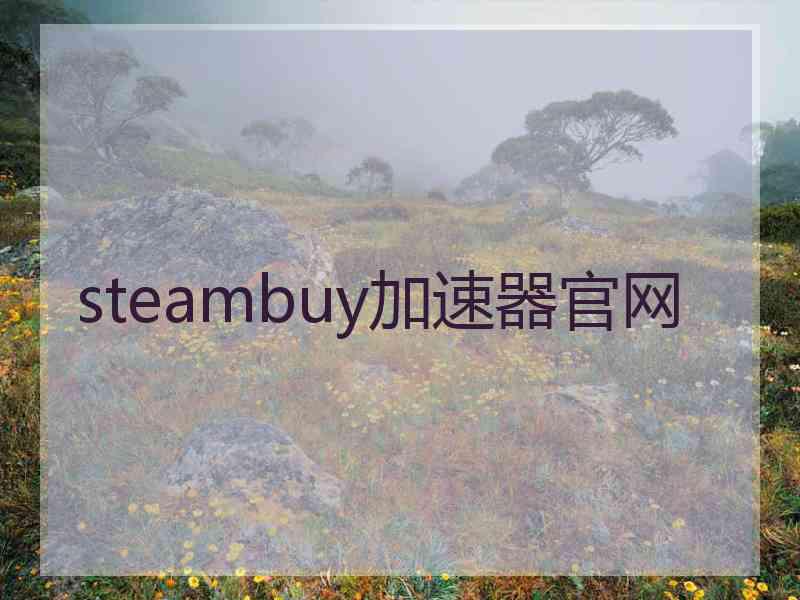 steambuy加速器官网