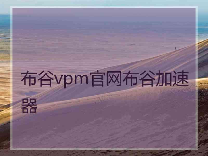 布谷vpm官网布谷加速器