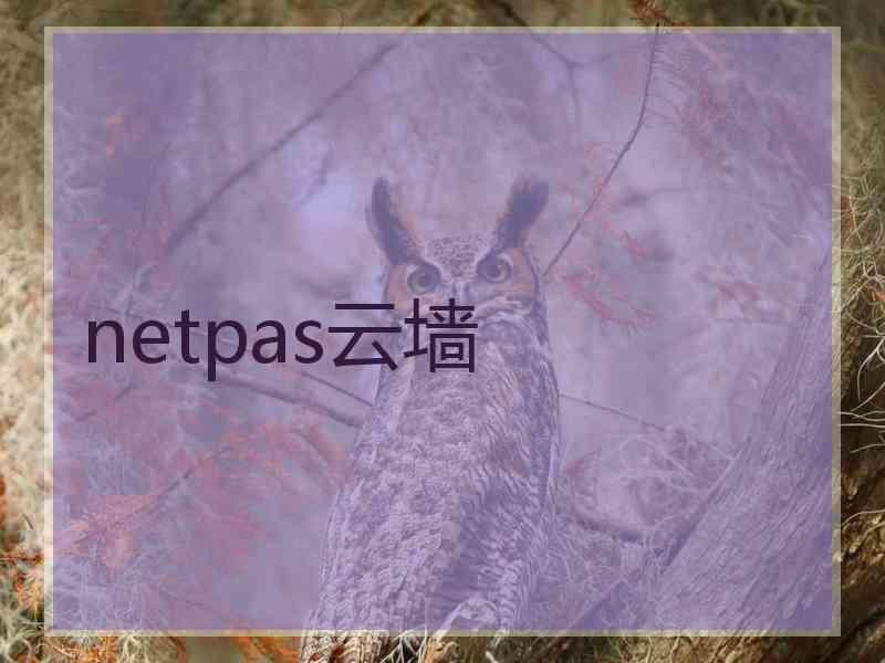 netpas云墙