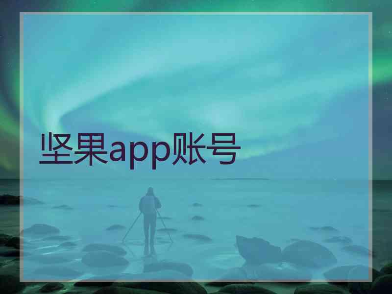 坚果app账号