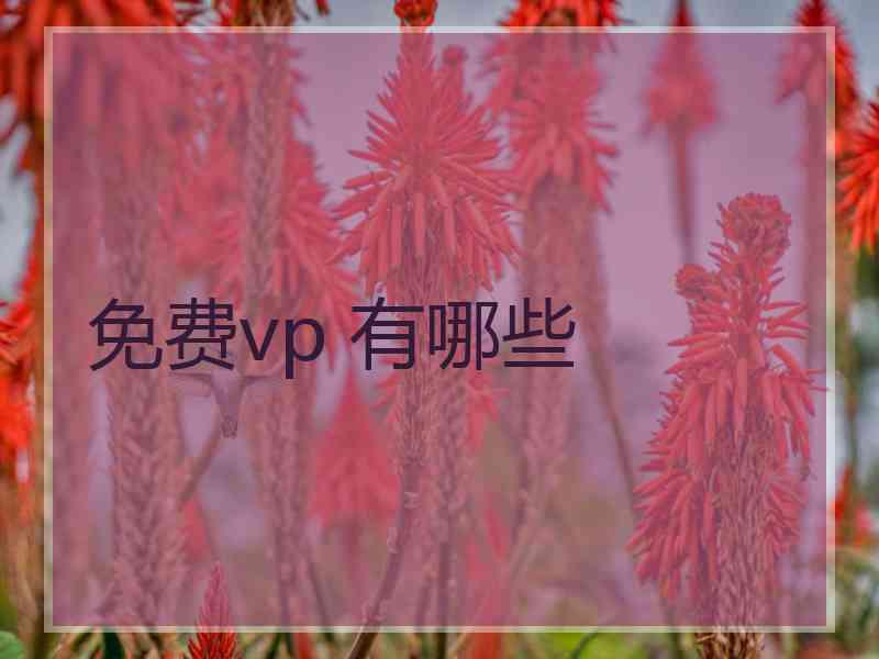 免费vp 有哪些