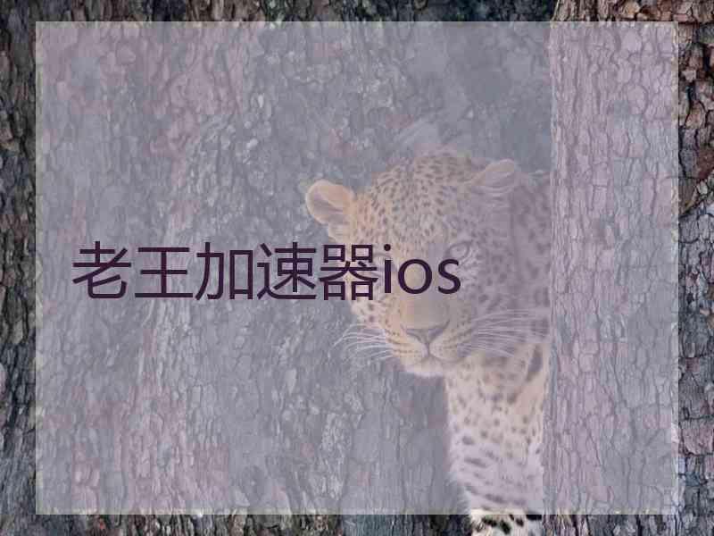 老王加速器ios