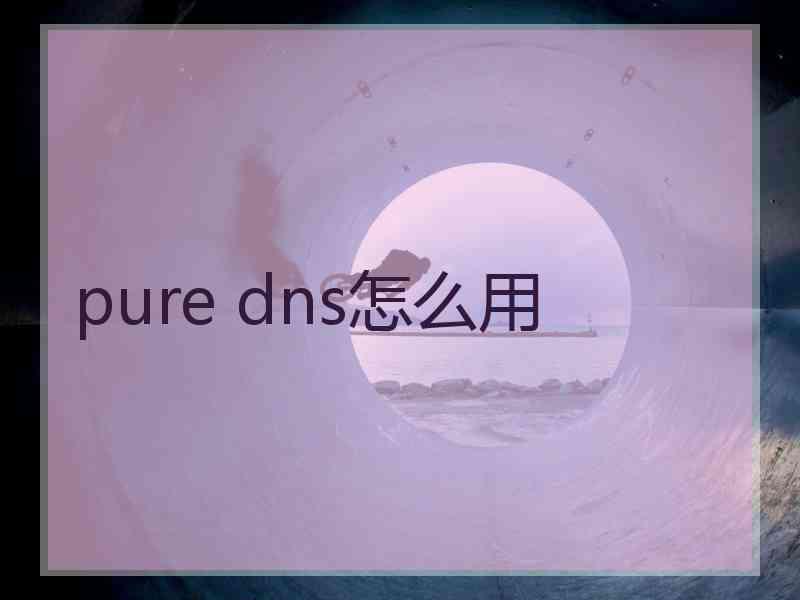 pure dns怎么用