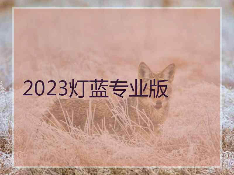 2023灯蓝专业版