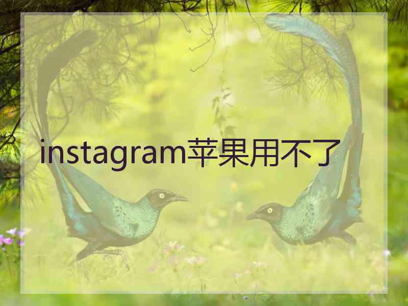 instagram苹果用不了