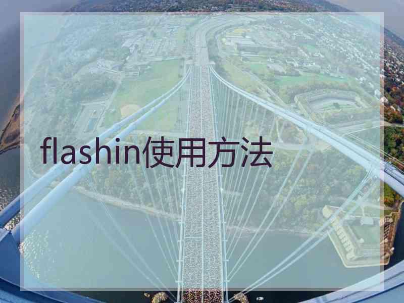 flashin使用方法