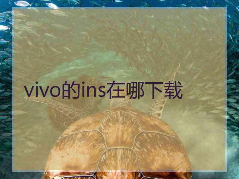 vivo的ins在哪下载