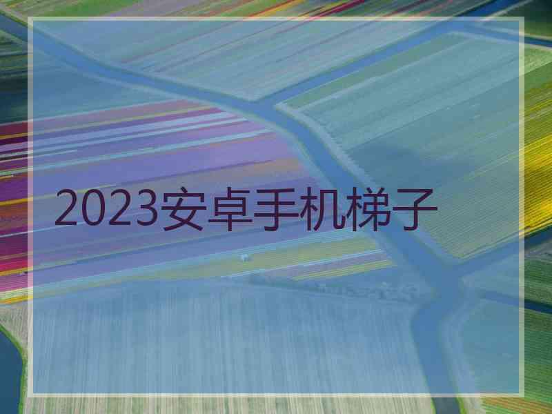 2023安卓手机梯子