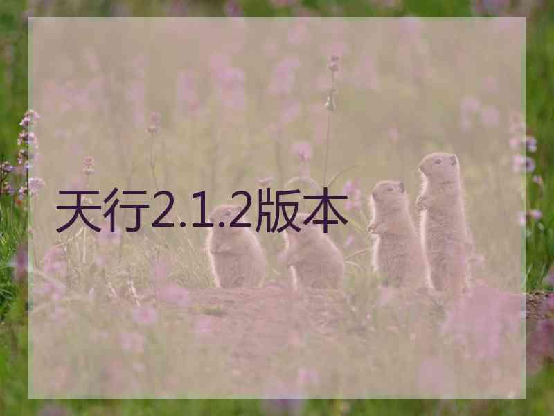 天行2.1.2版本