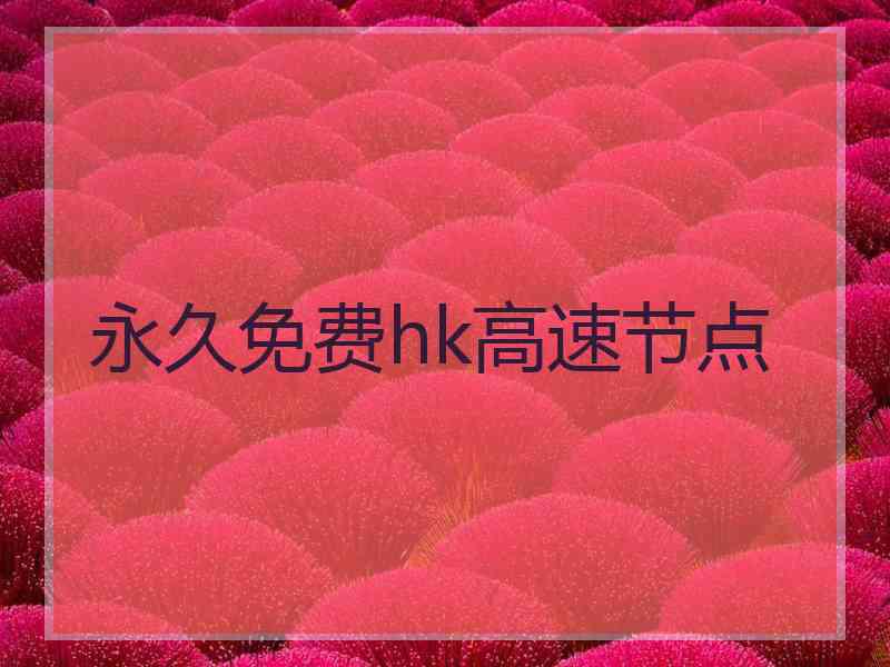 永久免费hk高速节点