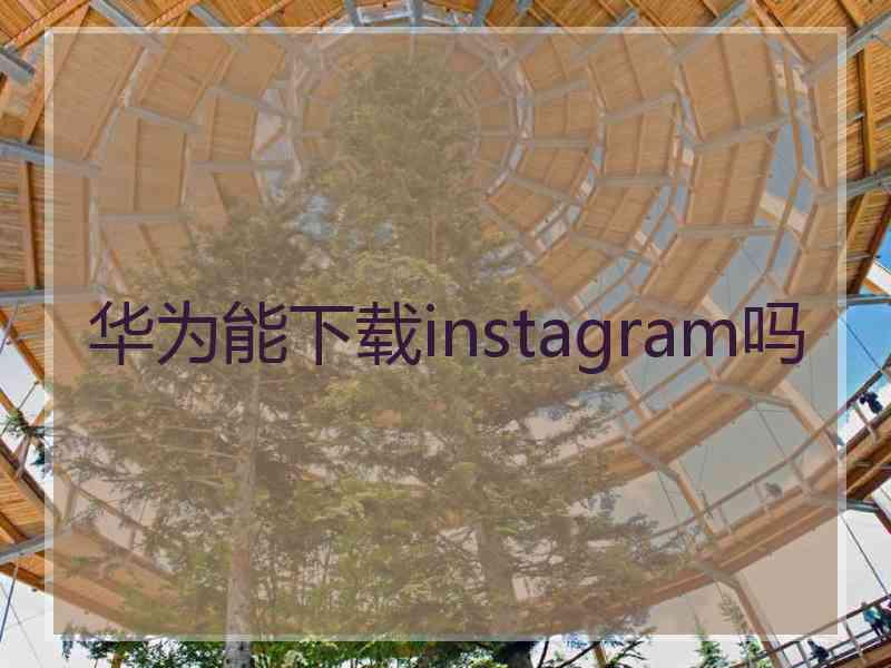 华为能下载instagram吗