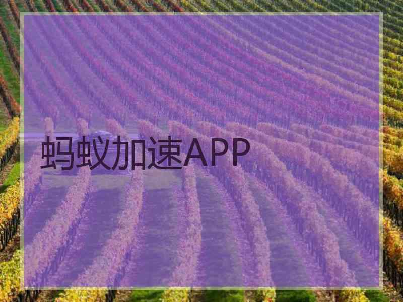 蚂蚁加速APP