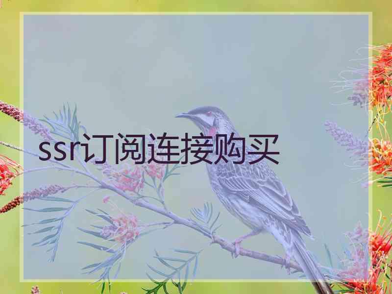 ssr订阅连接购买