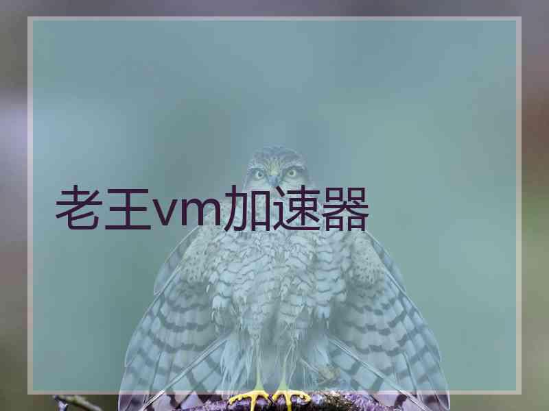 老王vm加速器