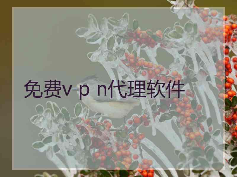 免费v p n代理软件