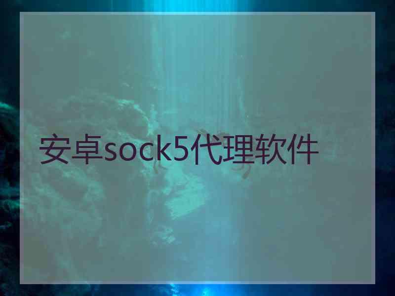 安卓sock5代理软件