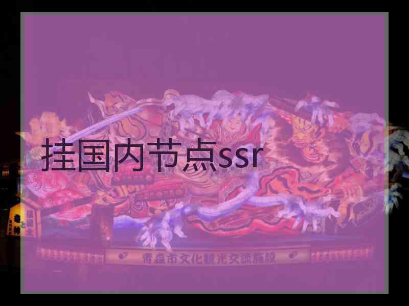 挂国内节点ssr