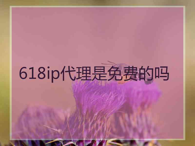 618ip代理是免费的吗